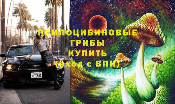 прущий лед Алексин