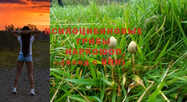 гашик Алзамай