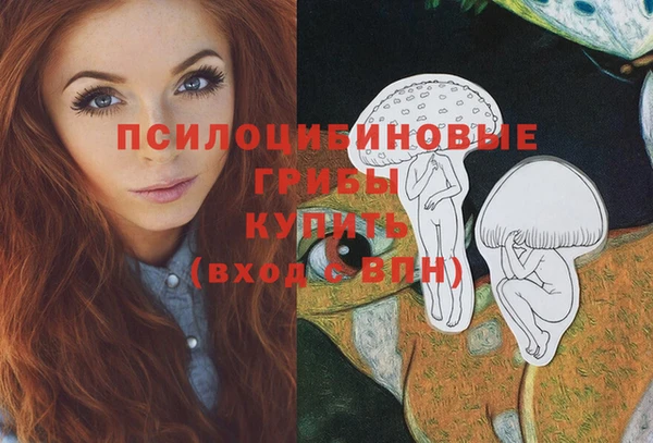 гашик Алзамай