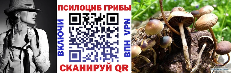 это официальный сайт Нытва ОМГ ОМГ как зайти Галлюциногенные грибы ЛСД где купить